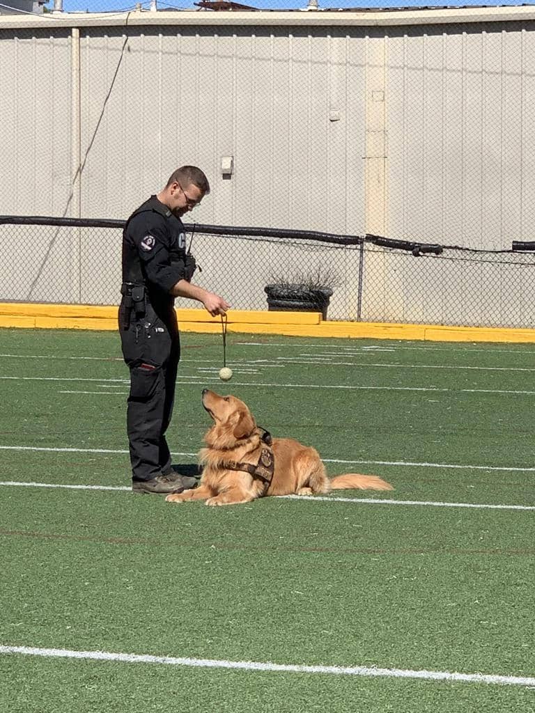 k9_morty_visits_the_after_school2